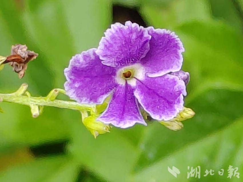 平博官方网址
